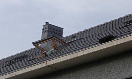 Reddingsoperatie voor kitten op dak