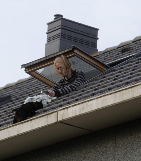 Reddingsoperatie voor kitten op dak