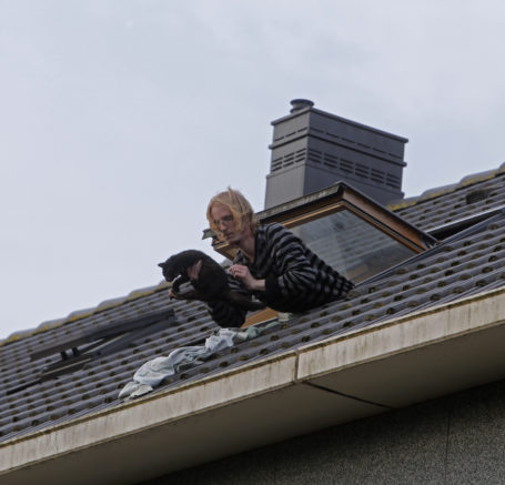 Reddingsoperatie voor kitten op dak