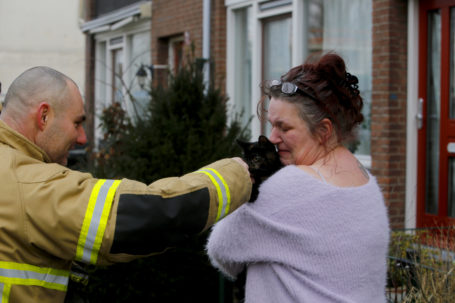 Reddingsoperatie voor kitten op dak