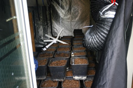 Ook in een woning aan de Tulpstraat werd wiet gekweekt. (Foto: Thymen Stolk)