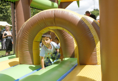 Zomerparkfeest Wielwijk