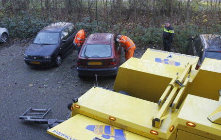 Hennepkwekerij op de Staart3