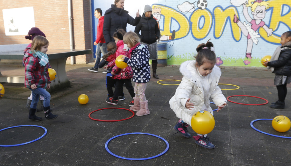 Bosuiltjes dordrecht