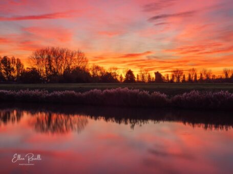 Lezersfoto’s: de natuur staat er prachtig bij