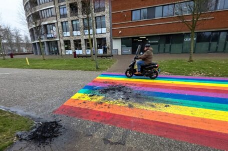 VIDEO: Brandstichting op regenboogpad aan Leerparkpromenade in Dordrecht