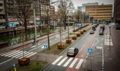 Spuiboulevard zet stap naar klimaatbestendige toekomst met 39 bomen