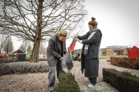 Makelaar looft 500 euro uit voor tip over vernieling ‘dorpje’