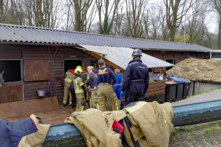 Paard aan de Zuidendijk weer op de been na inzet brandweer
