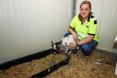 Dierenzorgcentrum haalt verweesde geit op uit kapsalon
